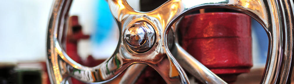 Life, Knowledge, and Sharing